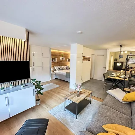 Ringstrasse 113 By Interhome Apartament