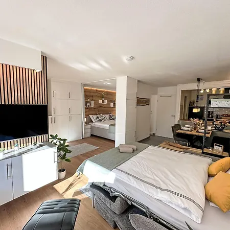 Ringstrasse 113 By Interhome ロイカーバード