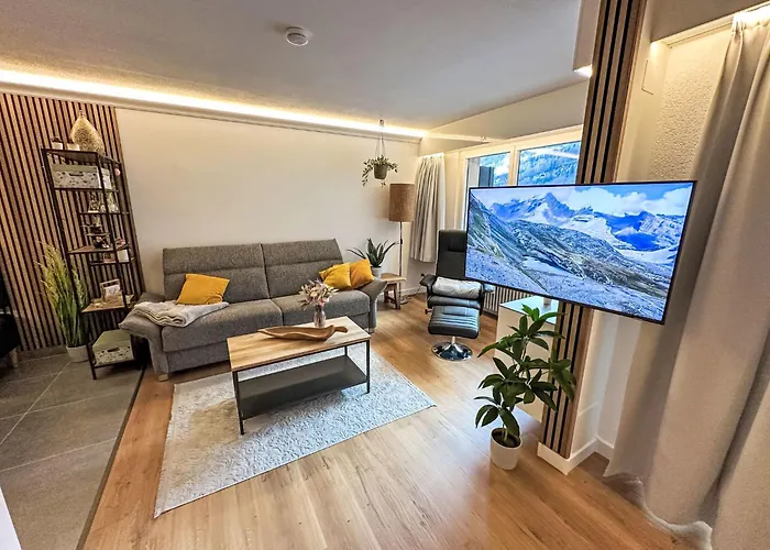 Ringstrasse 113 By Interhome